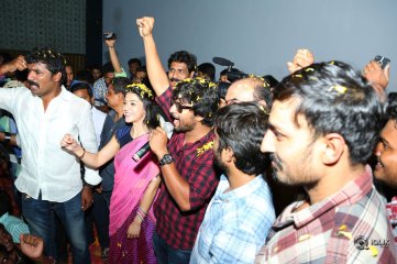 Krishna Gadi Veera Prema Gaadha Movie Success Tour